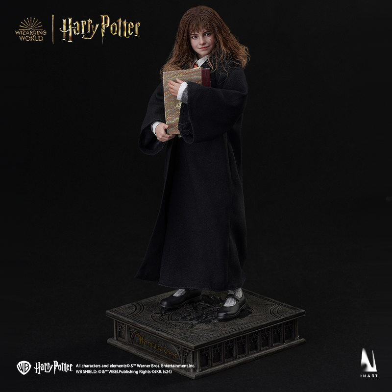 Detailed portrayal of Hermione Granger, the brilliant witch